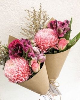 زهور الاوركيدا