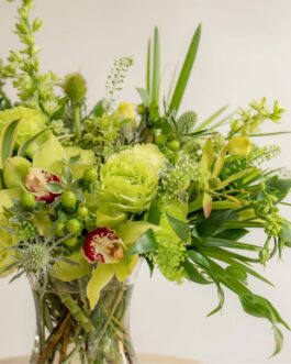 زهور الياسمين