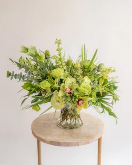 زهور الياسمين