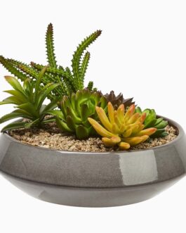 نبات الريحان